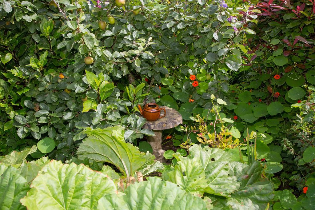 Bed & Breakfast Doireliath Bantry