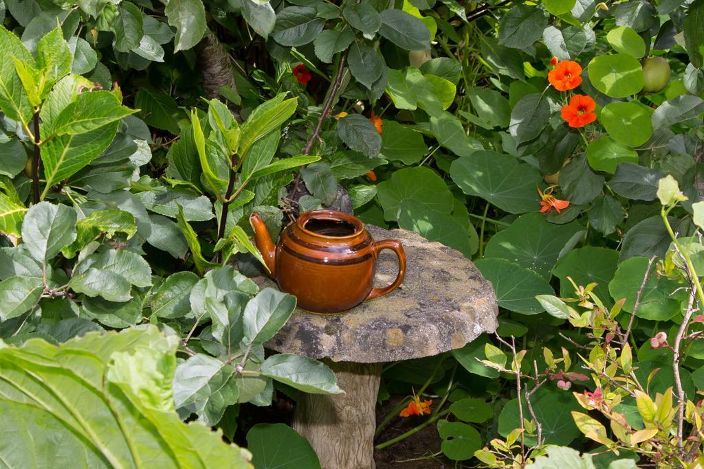 Doireliath Bed & Breakfast Bantry